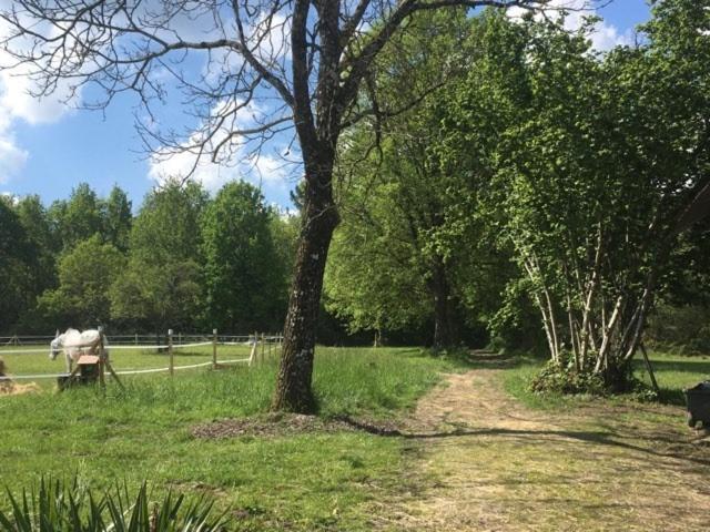 Holiday home Le Clos De Lamie Avec 2 Piscines Privees